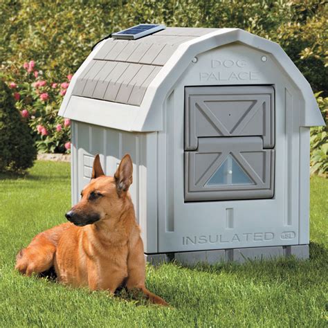 insulated dog houses for outdoors